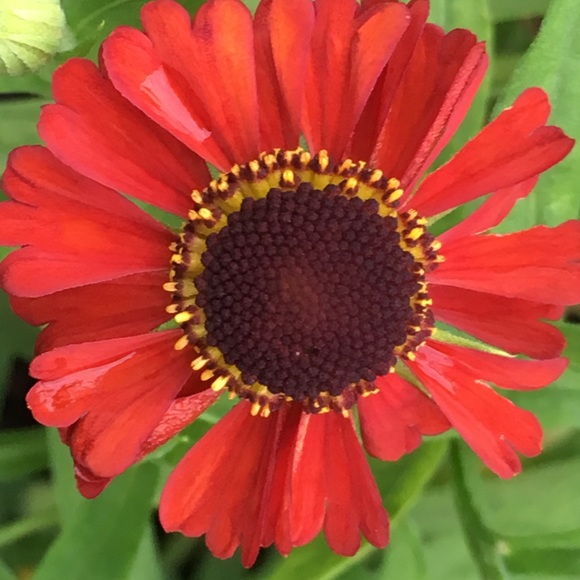 Meet your Posher - Picture 8 of 9